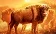 BuffaloWin fb88