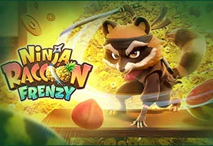ninja raccon fb88
